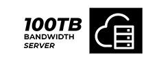 100tb-bandwidth-server